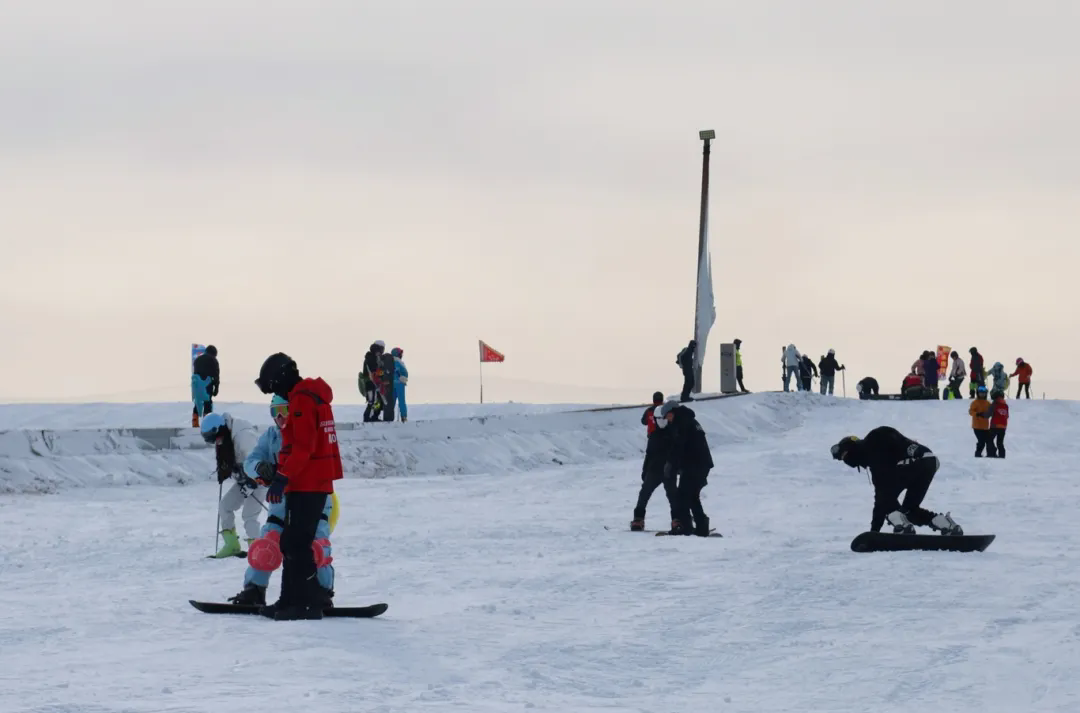 1768875133909048619.png auto