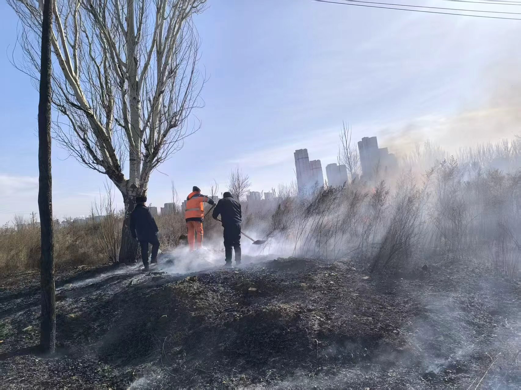 1771043170576040000.jpg 1.jpg