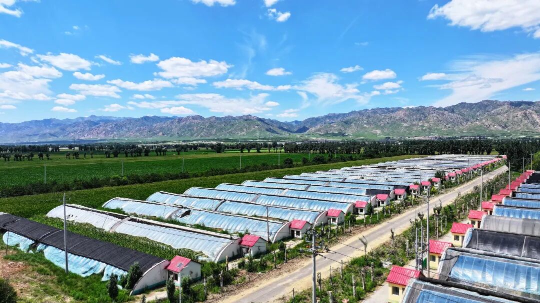 1771982196367071423.jpg auto