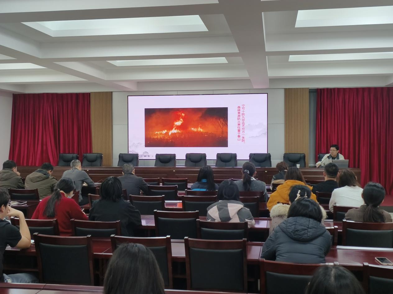 1772269840000080890.png auto