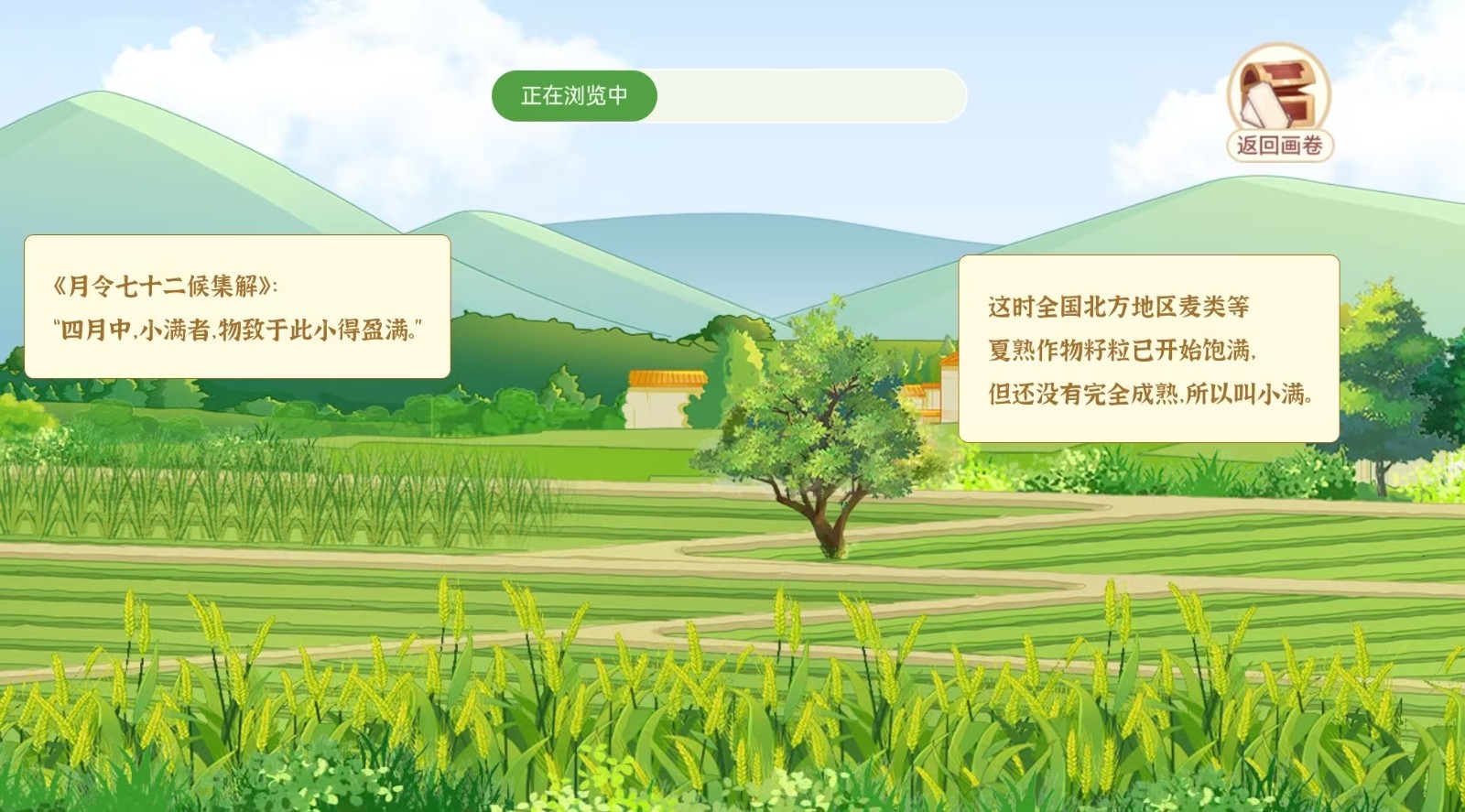 小满.jpg