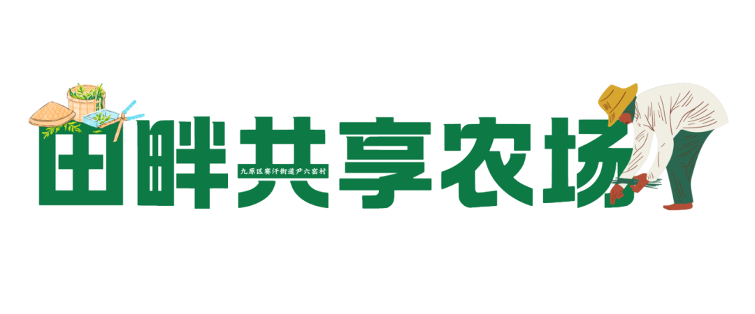 1780454691977007022.png auto