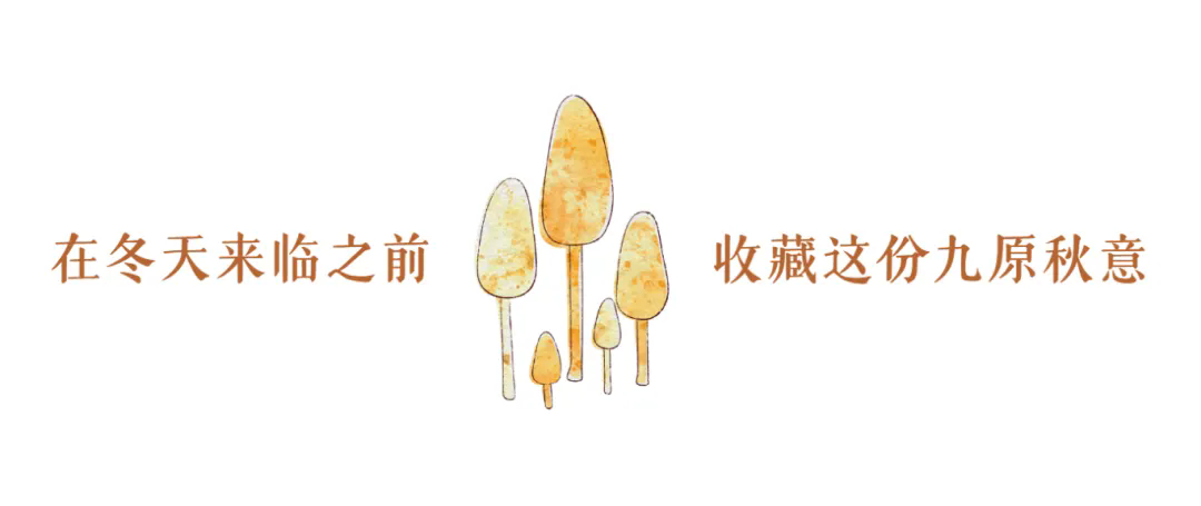 1761618723552033377.png